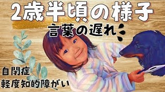 自閉症赤ちゃん Youtube