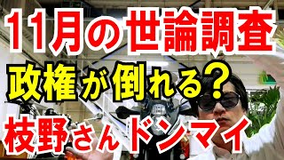 【世論調査】菅政権の支持率が下がらん！話が違うよ、松宮教授！