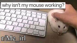 r/Me_irl | mouse machine broke