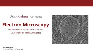 Core Facilities Seminar: Electron Microscopy