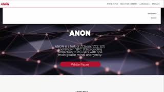 Anon | An overview of an important piece of white paper