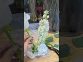 Easy wrapping🤏🏻 tutorial &amp; flower bouquet #tutorial #simple♨️ #fypシ#flowers🌷  #wrapping💐 #bouquet