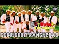 Beto y sus Canarios - Corridos y Rancheras