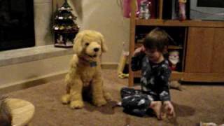 Piper&Jake Christmas AM 2008