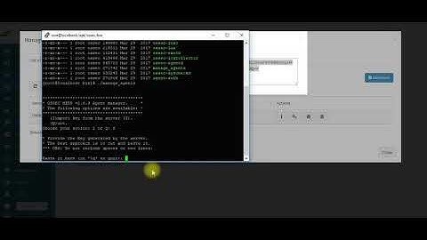 Insert unique key in Linux Ossec Agent