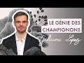 Le gnie des champignons par guillaume lopez   bande annonce