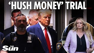 Donald Trump on trial over Stormy Daniels 'hush money payments'