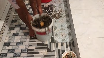 SỔ VUÔNG CẢ 1 THÙNG TÔM