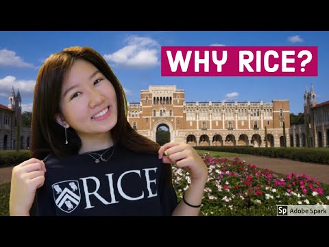 Why I Chose Rice University | My College Decision Process