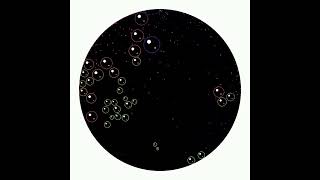 Verlet Physics: Color Mixing Bubbles & Grand Finale 💥 Guide