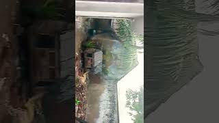 Rain today my veedu|Life of ram