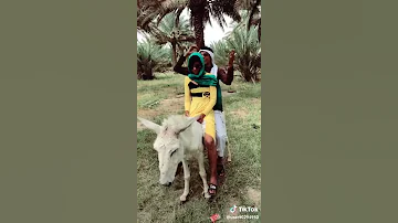 انتي عندي احلى من نجوي كرم اعشقك لو ريحتك ريحت غنم 