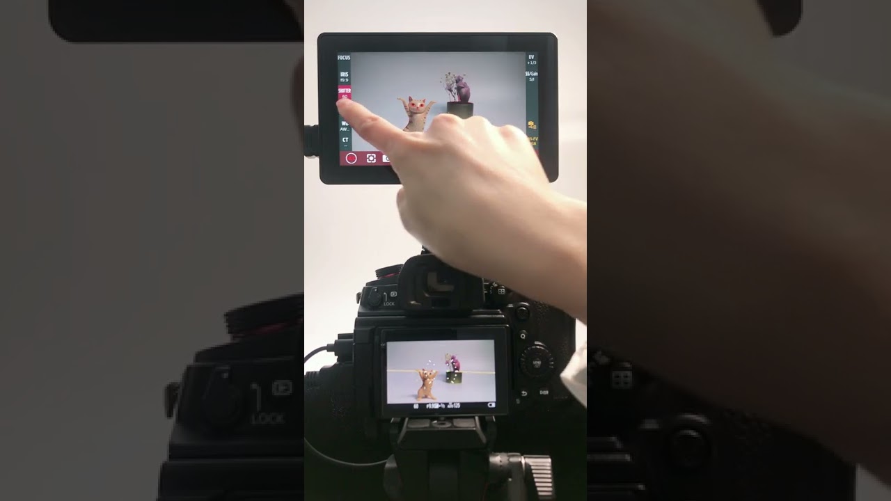 BM5WR Control for Panasonic GH6