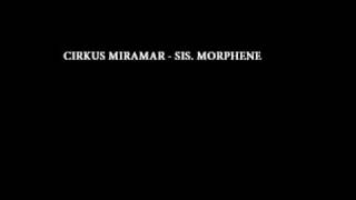 Video thumbnail of "Cirkus Miramar - Sis. Morphene"