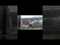 boxing for beginner practice day 2 🫵☠️