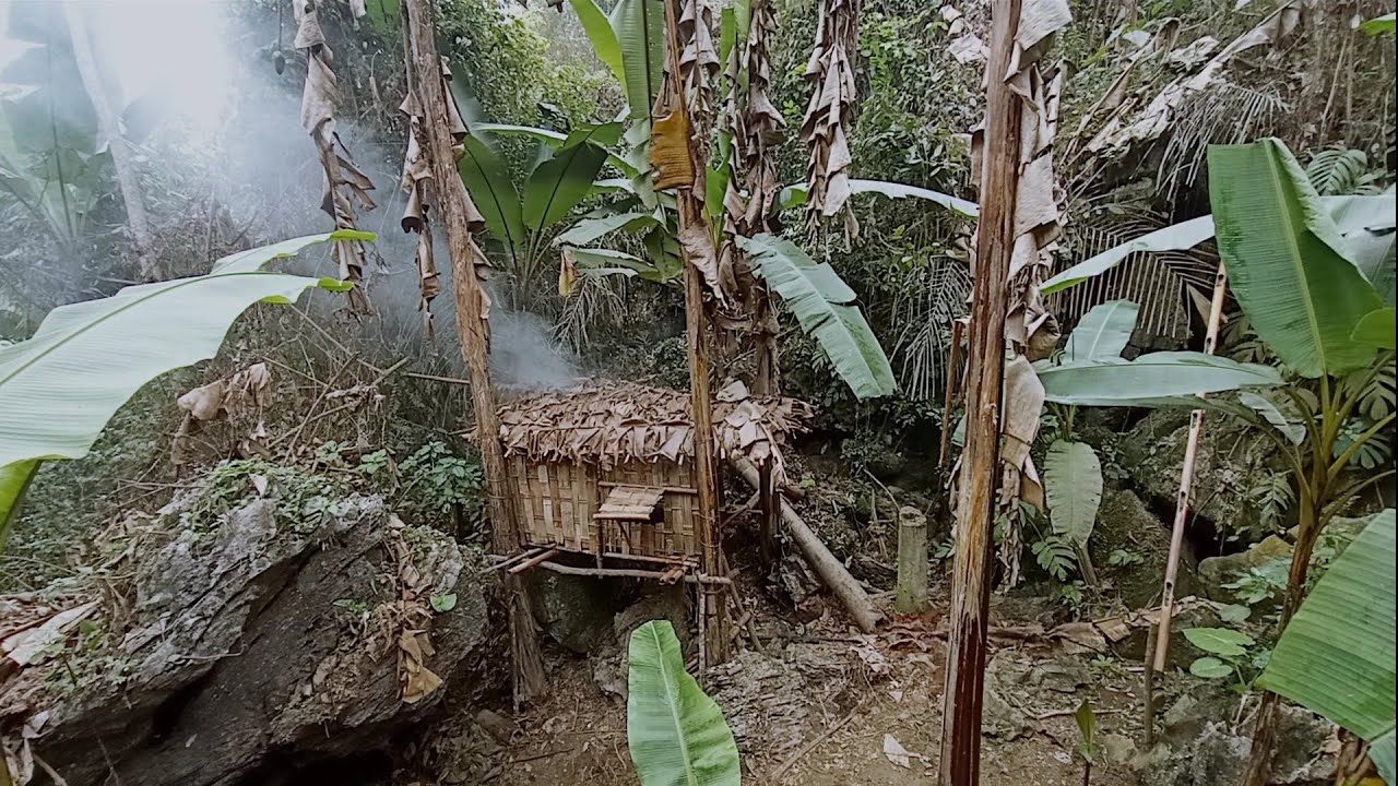 Survival Instinct In Tropical Rainforest, Alone In The Wilderness ( episode 44 )