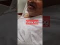 Umer Sharif Last Video Umer Sharif Umer Sharif Last Video Umer Sharif