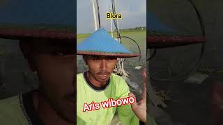 sibel #algoritma  #shortsfeed #feedshorts  #shorts #shortvideo #short