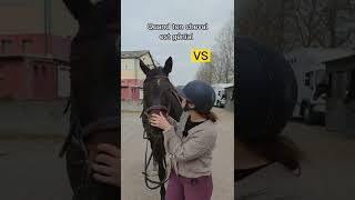 Genre jamais à cause de toi ou grâce à toi 🤷🏼‍♀️😂 #humour #cheval #entresesoreilles #equitation