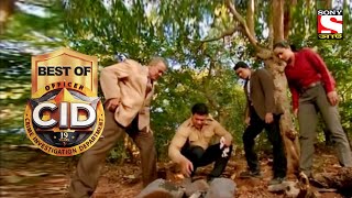 Best of CID (Bangla) - সীআইডী - The Secret Of Tree - Full Episode screenshot 5