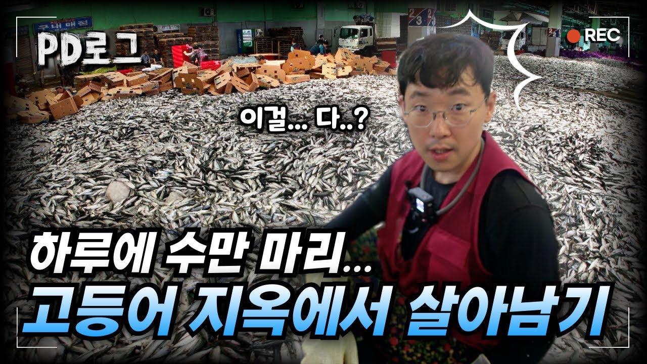 이걸 다 포장하라고요...? 고등어 지옥에서 살아남기 | PD로그 | 24화 어머니와 고등어 1/2