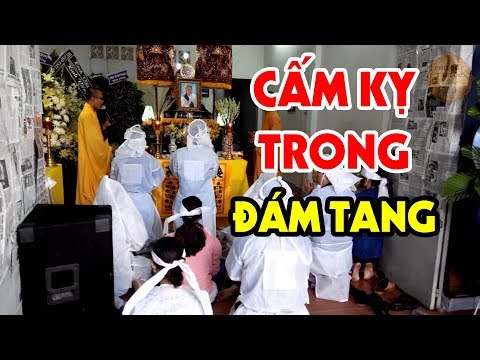 Video: Hoa Gì để Mang đến đám Tang