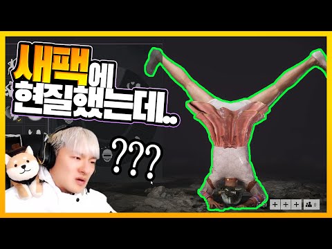 카배 접고 스팀 새팩으로 <strong>양학</strong> 해보겠습니다