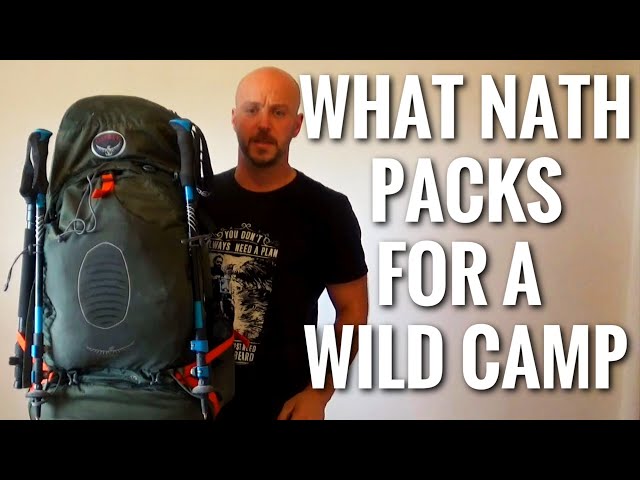 american tourister backpack travel bags American Tourister travel bag Trailgo Duffle S Dark Forest | Buy bags,  purses & accessories online
