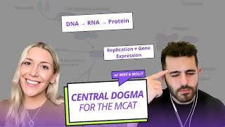 Central Dogma for the MCAT: Transcription, Translation & Gene Regulation I Jack Westin MCAT Podcast