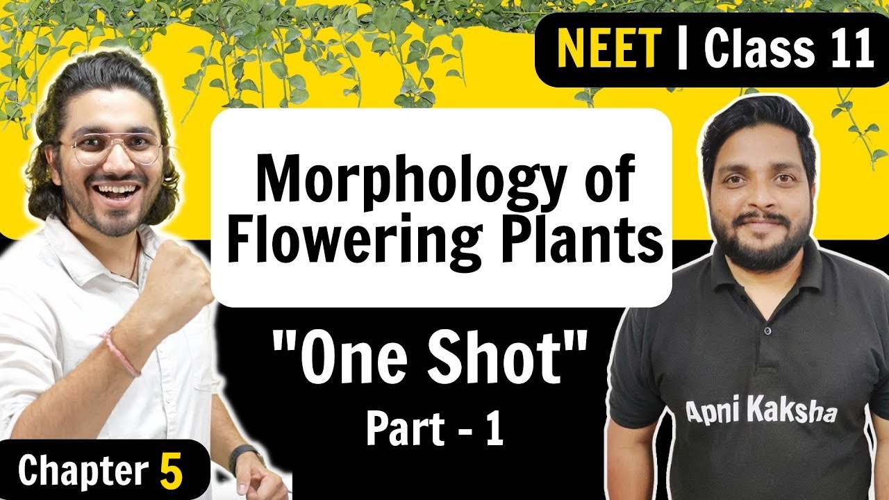 Morphology of Flowering Plants | Complete Chapter ONE SHOT | Part 1 ...