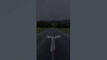 #القرآن_الكريم #اكسبلور #المصحف #تلاوة_خاشعة