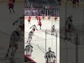 Charlotte Checkers home opener