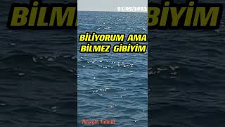 Bi̇lmez Gi̇bi̇yi̇m