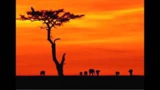 Nouhoum Camara---Bani