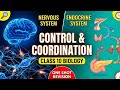 Quick revision of chapter control and coordination in one shot , class10 biology