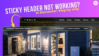 Celebrity Fix Elementor Sticky Header Not Showing & Change Color on Scroll (XPRO Theme Builder) Profile