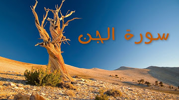 سورة الجن بصوت القارئ هزاع البلوشي