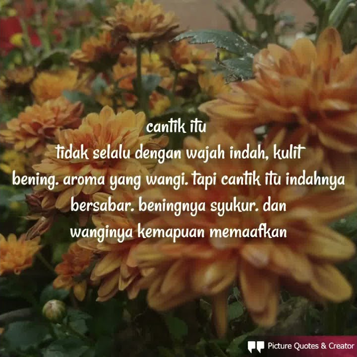 Story wa terbaru (al I'tirof) #alitirof
