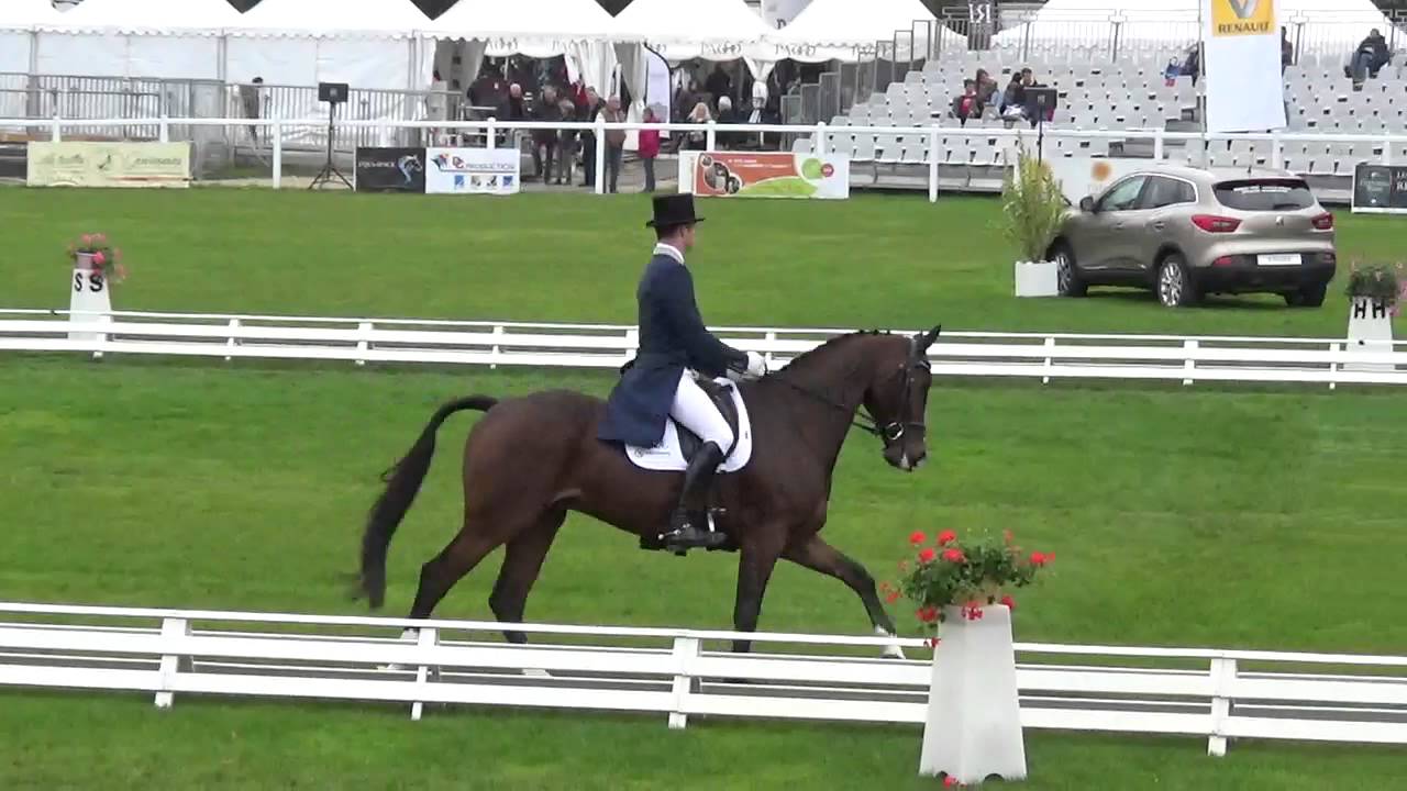 Tullaher Sunrise and Sam Ecroyd Dressage at Le Lion - YouTube