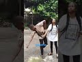 slap and destroy the air on me. #comedy #funny #gorilla