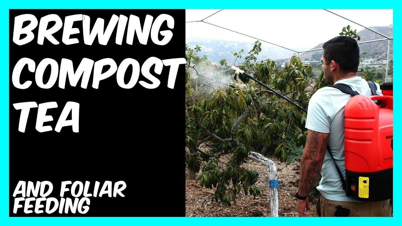 Brewing Compost Tea with Bioreactor Compost YouTube