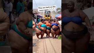 They Are Back On The Move Again