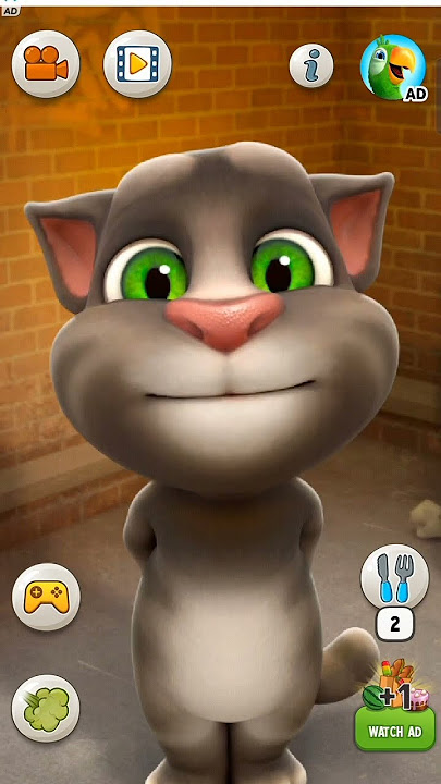 3 peg song #cat #tom #sweetvoice #startom #funny