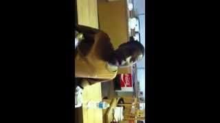 Teenage Version Of Glozell Hot Pepper Challenge