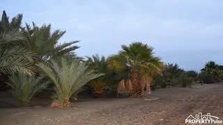 20.25 Acres  Borrego Valley Road, Borrego Springs, CA 92004