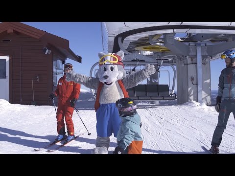 Video: Pyrenéernas Bästa Skidåkning