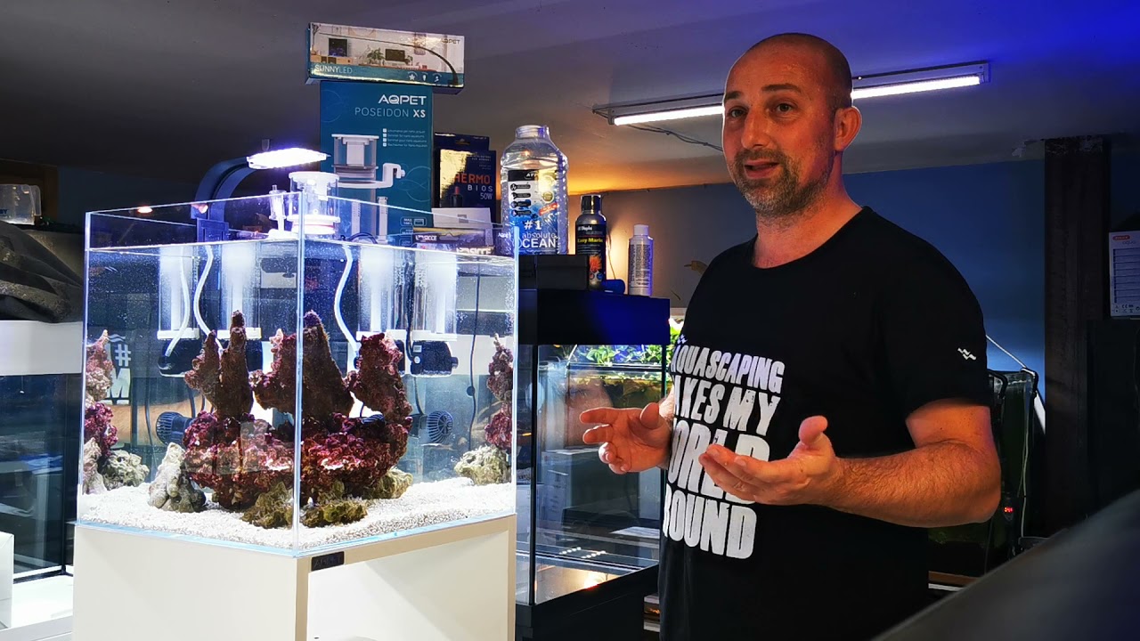 🐡Tutorial allestimento Mini Reef 🪸