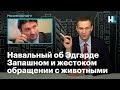 Навальный об Эдгарде Запашном и жестоком обращении с животными
