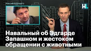 Навальный об Эдгарде Запашном и жестоком обращении с животными