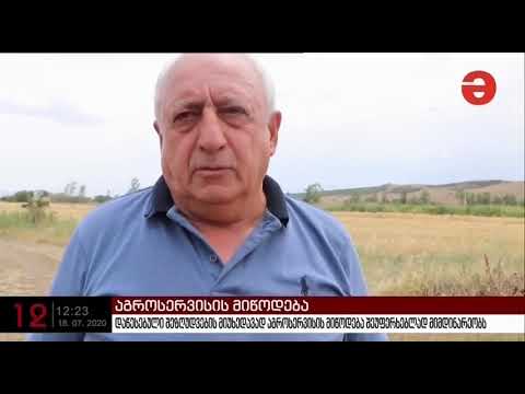 თეთრიწყაროს მუნიციპალიტეტში მოსავლია აღება მიმდინარეობს